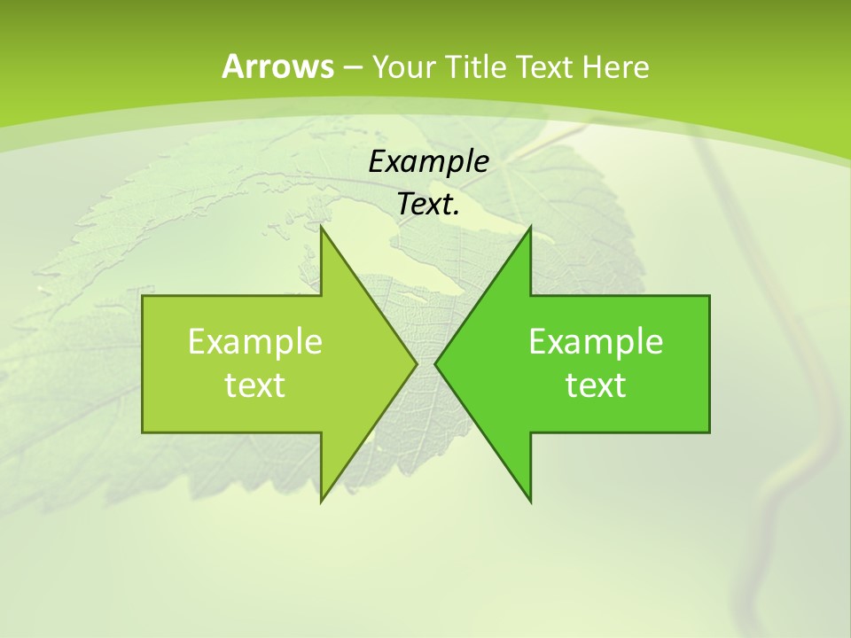 A Green Leaf On A Green Background PowerPoint Template