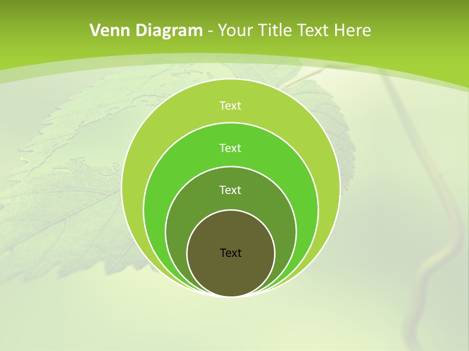 A Green Leaf On A Green Background PowerPoint Template