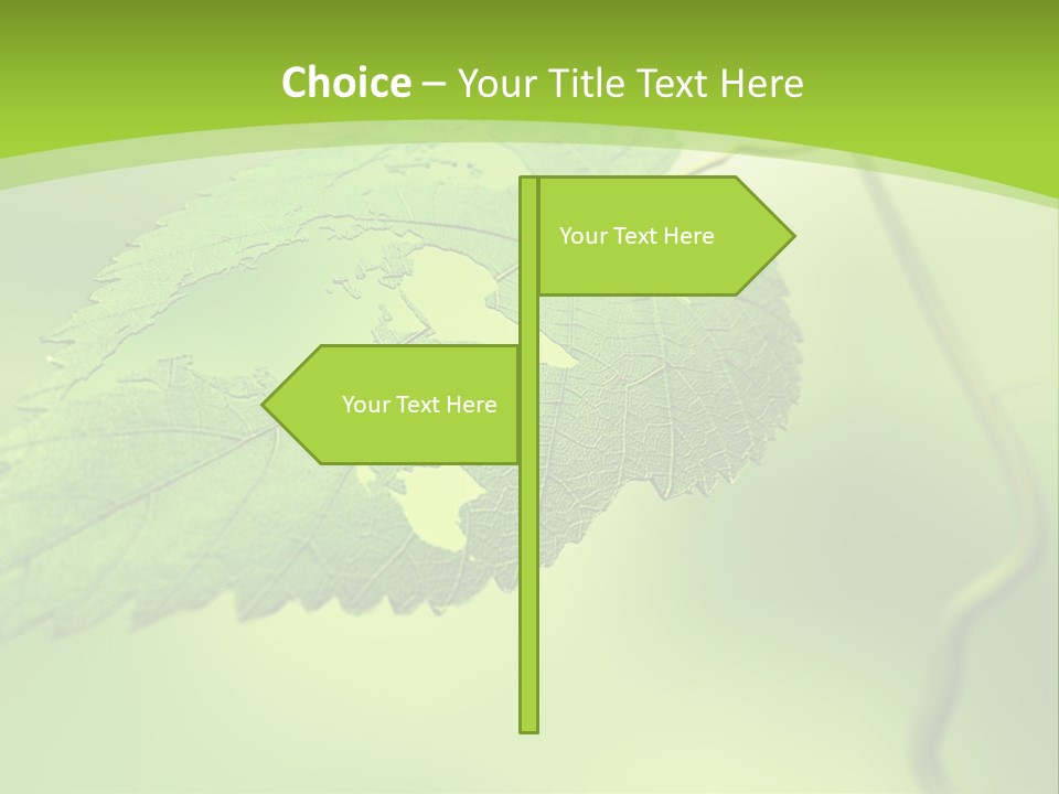 A Green Leaf On A Green Background PowerPoint Template