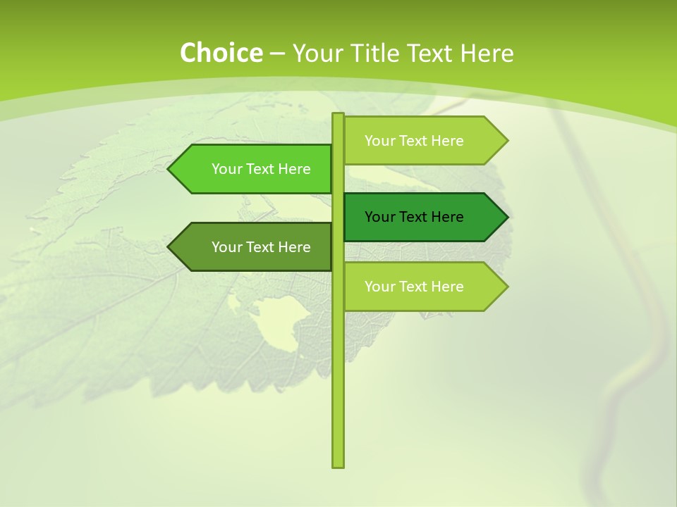 A Green Leaf On A Green Background PowerPoint Template