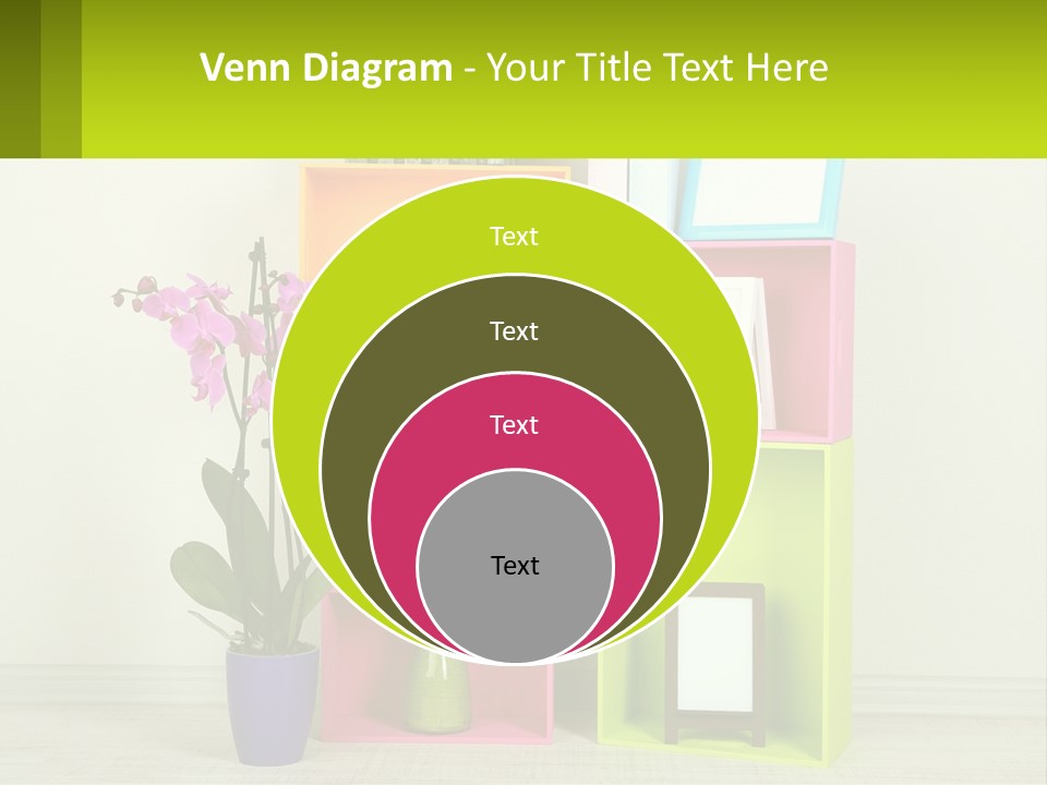 A Colorful Shelf With Flowers And A Vase On Top Of It PowerPoint Template