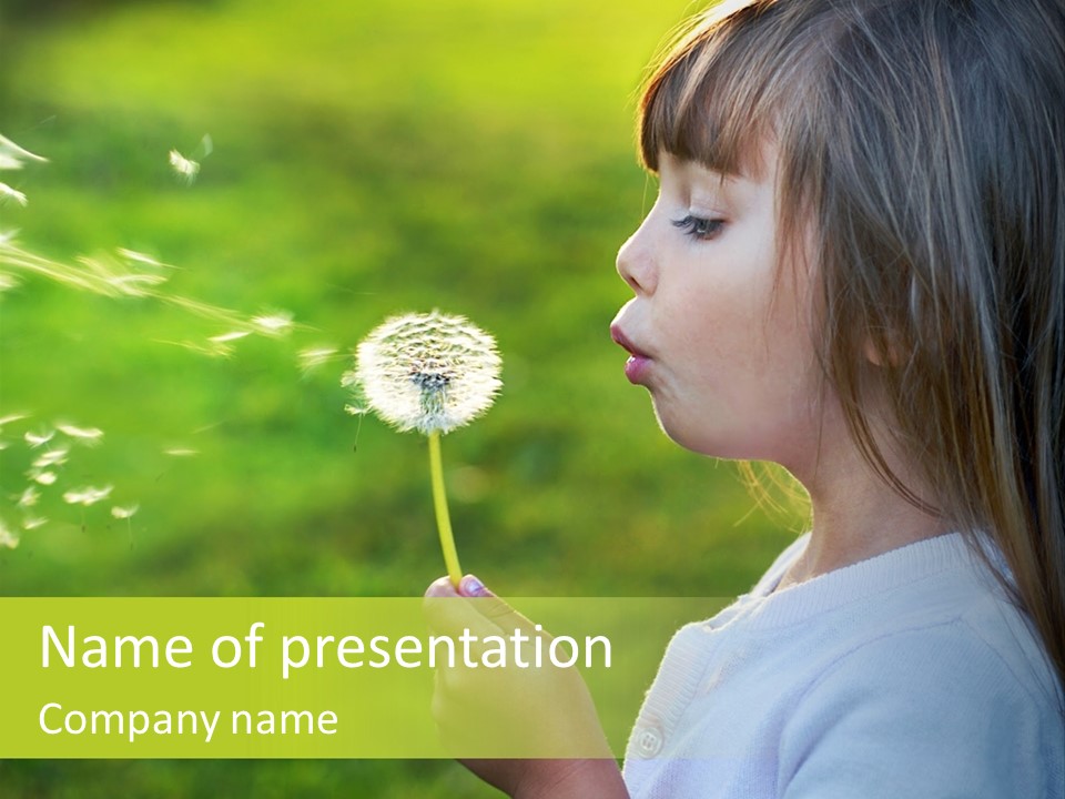 A Little Girl Blowing A Dandelion On A Green Field PowerPoint Template