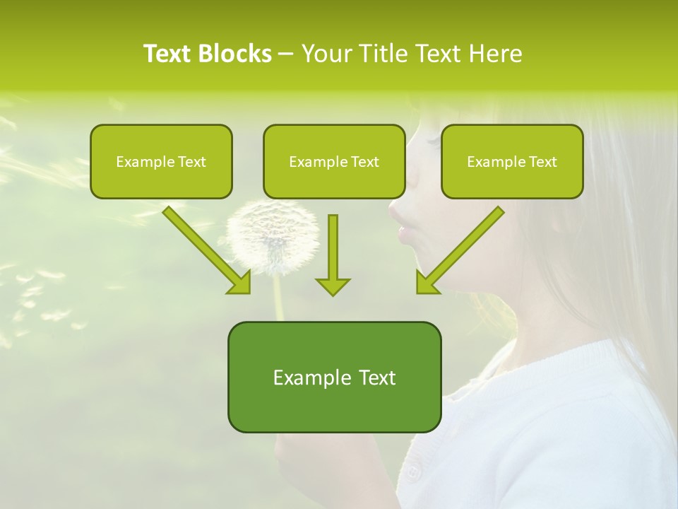 A Little Girl Blowing A Dandelion On A Green Field PowerPoint Template