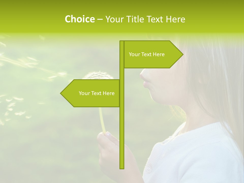 A Little Girl Blowing A Dandelion On A Green Field PowerPoint Template