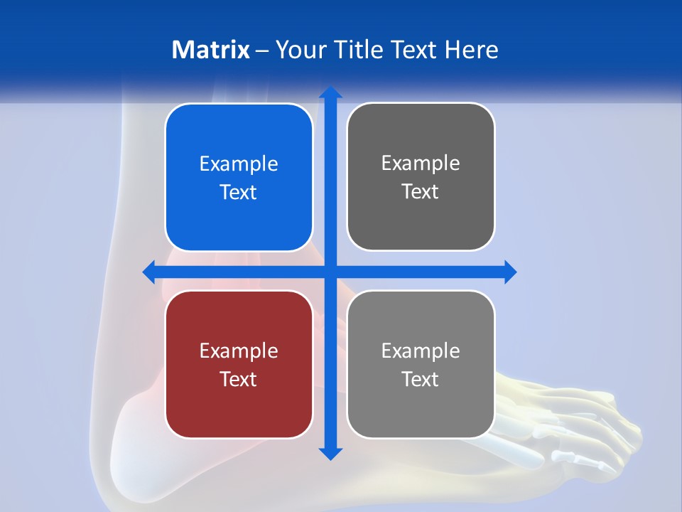 A Medical Powerpoint Presentation With A Highlighted Image Of A Foot PowerPoint Template