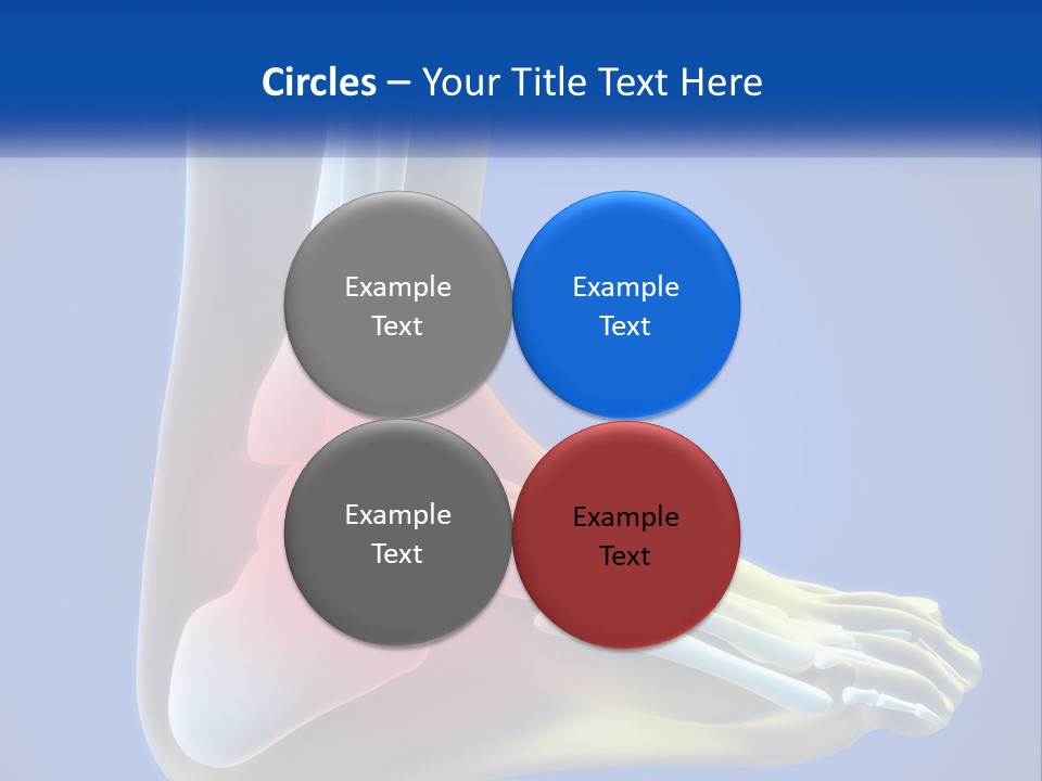 A Medical Powerpoint Presentation With A Highlighted Image Of A Foot PowerPoint Template