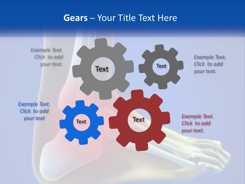 A Medical Powerpoint Presentation With A Highlighted Image Of A Foot PowerPoint Template