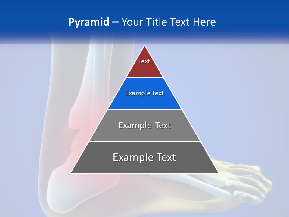 A Medical Powerpoint Presentation With A Highlighted Image Of A Foot PowerPoint Template