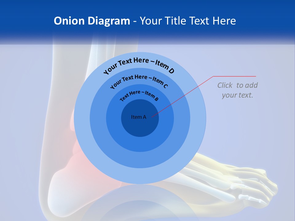 A Medical Powerpoint Presentation With A Highlighted Image Of A Foot PowerPoint Template