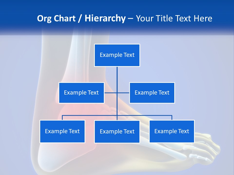 A Medical Powerpoint Presentation With A Highlighted Image Of A Foot PowerPoint Template
