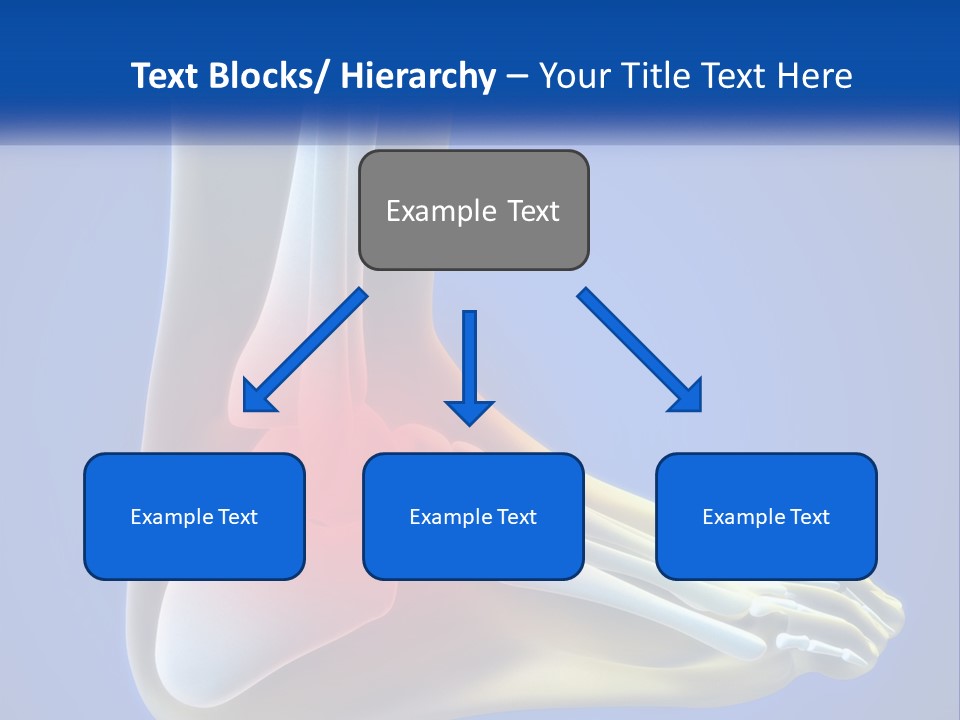 A Medical Powerpoint Presentation With A Highlighted Image Of A Foot PowerPoint Template