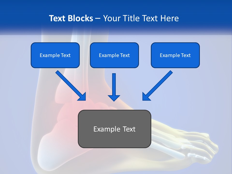 A Medical Powerpoint Presentation With A Highlighted Image Of A Foot PowerPoint Template