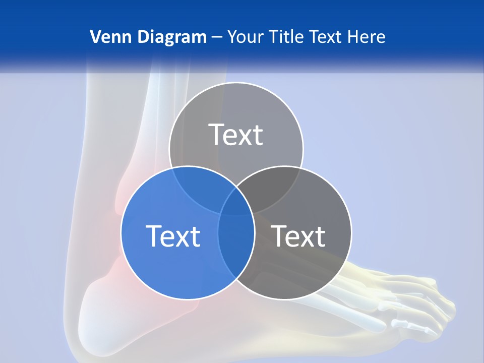 A Medical Powerpoint Presentation With A Highlighted Image Of A Foot PowerPoint Template