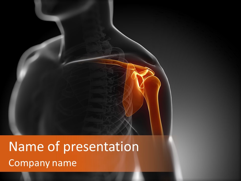 A Skeleton With A Highlighted Shoulder Powerpoint Presentation PowerPoint Template