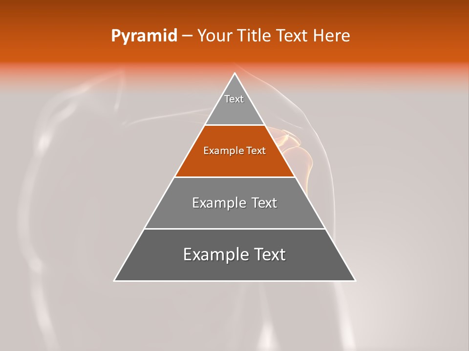 A Skeleton With A Highlighted Shoulder Powerpoint Presentation PowerPoint Template