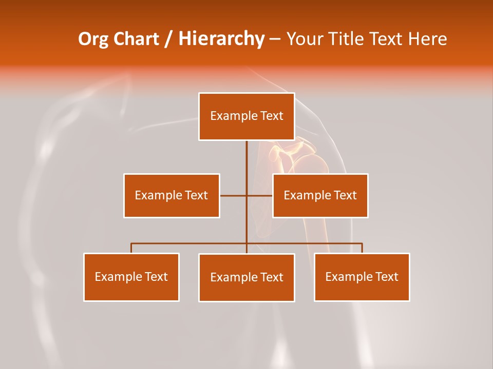 A Skeleton With A Highlighted Shoulder Powerpoint Presentation PowerPoint Template