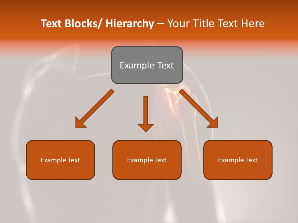 A Skeleton With A Highlighted Shoulder Powerpoint Presentation PowerPoint Template