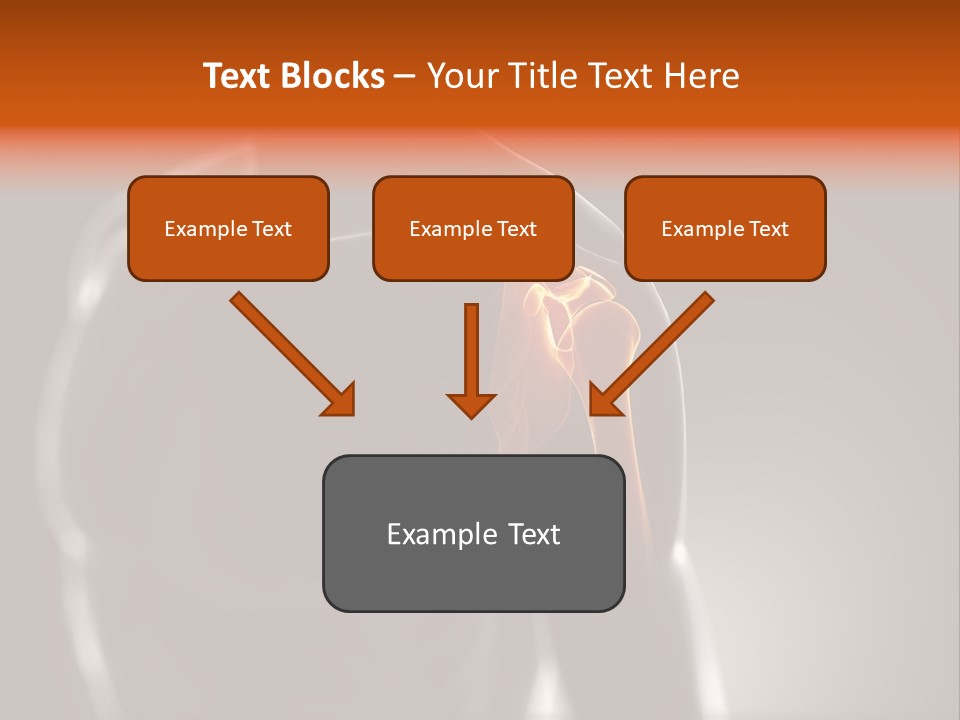 A Skeleton With A Highlighted Shoulder Powerpoint Presentation PowerPoint Template