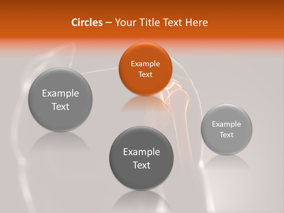 A Skeleton With A Highlighted Shoulder Powerpoint Presentation PowerPoint Template