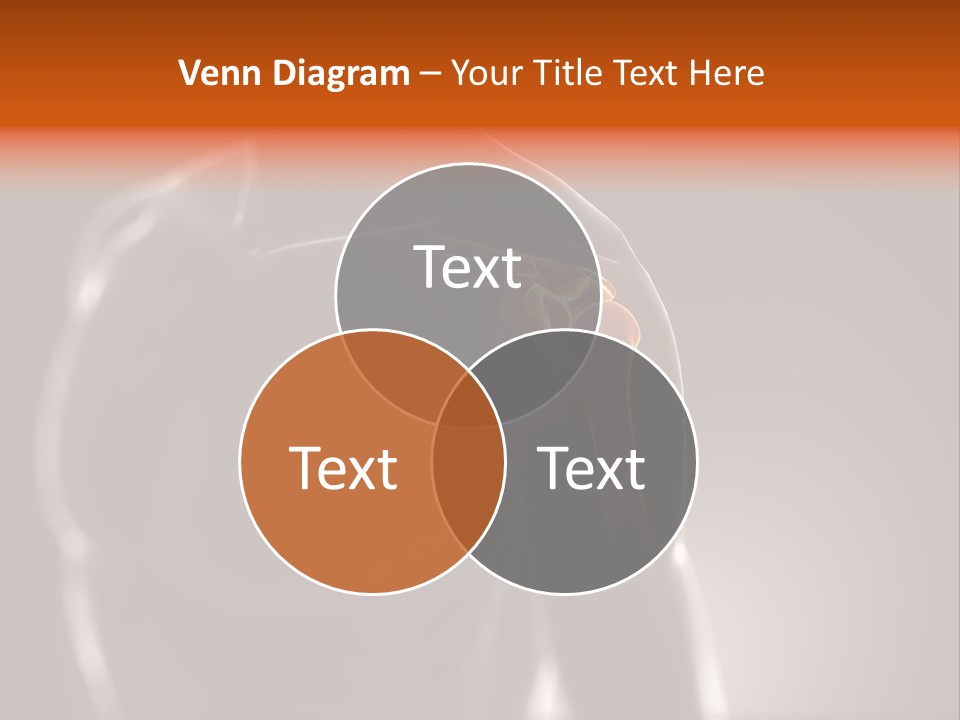 A Skeleton With A Highlighted Shoulder Powerpoint Presentation PowerPoint Template