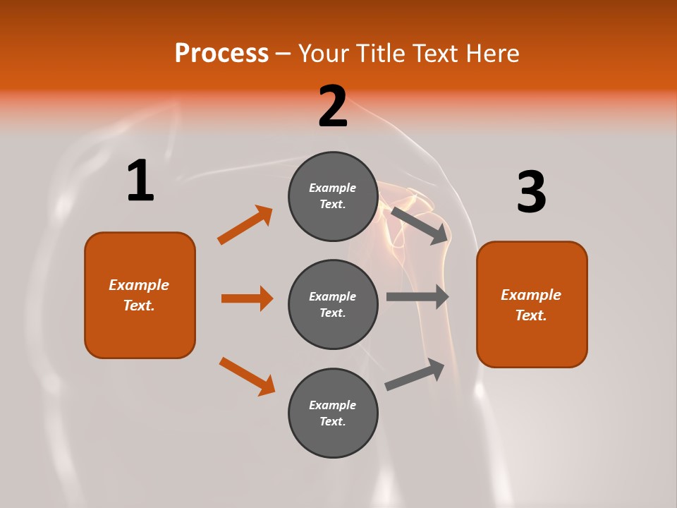 A Skeleton With A Highlighted Shoulder Powerpoint Presentation PowerPoint Template