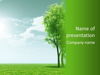 A Green Field With A Tree In The Middle Of It PowerPoint Template