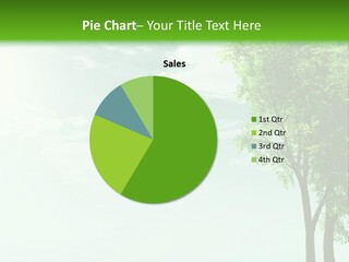 A Green Field With A Tree In The Middle Of It PowerPoint Template