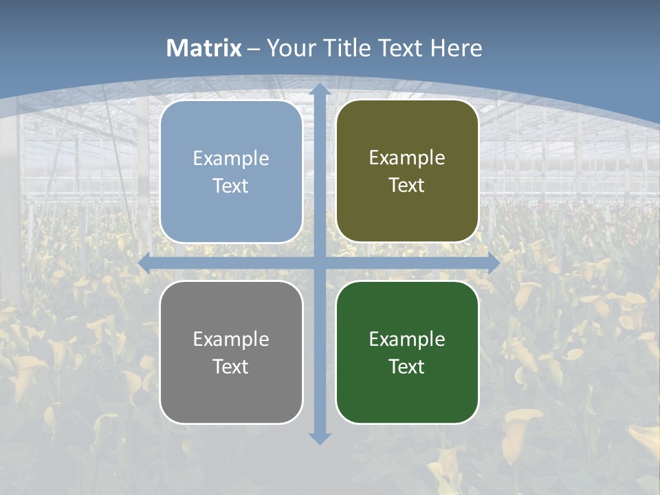 A Greenhouse Filled With Lots Of Yellow Flowers PowerPoint Template