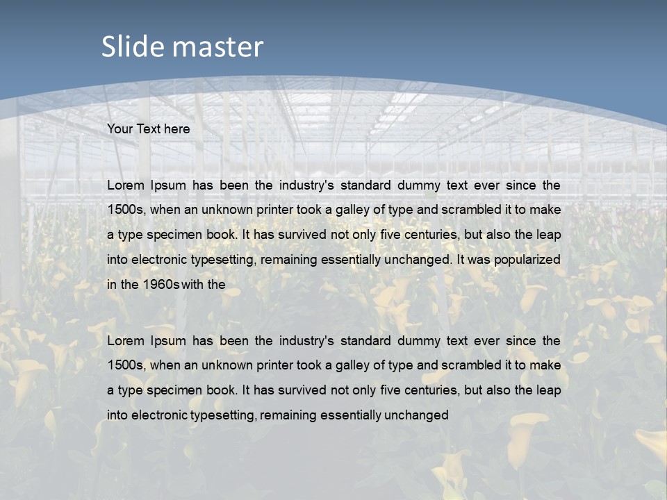 A Greenhouse Filled With Lots Of Yellow Flowers PowerPoint Template