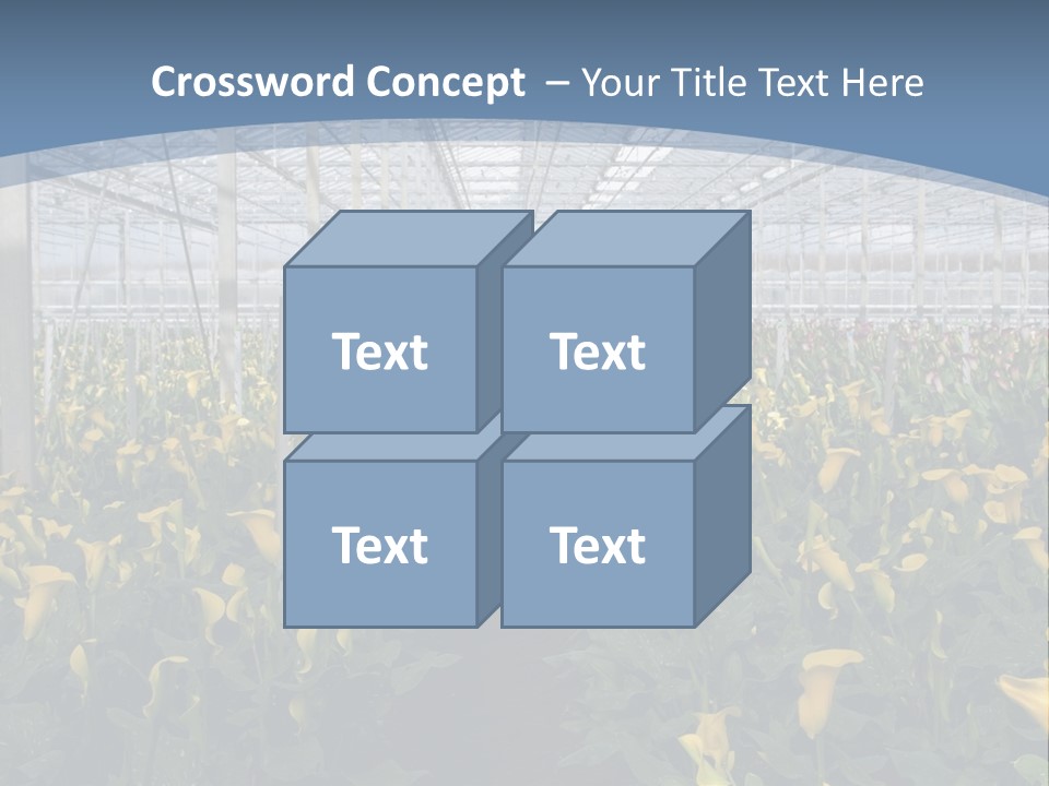 A Greenhouse Filled With Lots Of Yellow Flowers PowerPoint Template