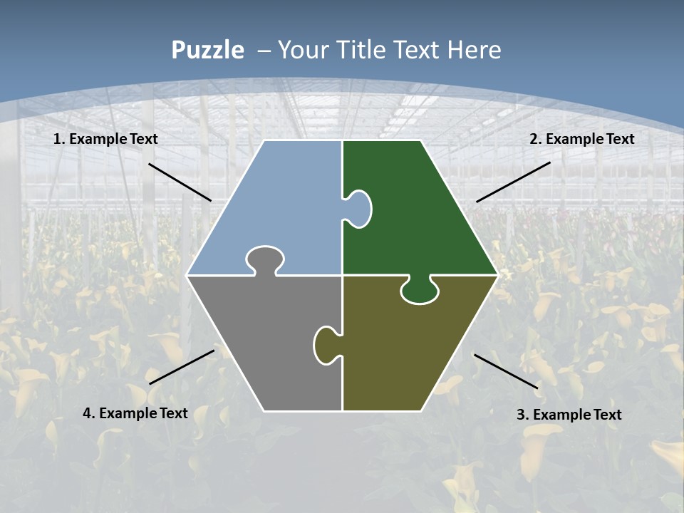 A Greenhouse Filled With Lots Of Yellow Flowers PowerPoint Template