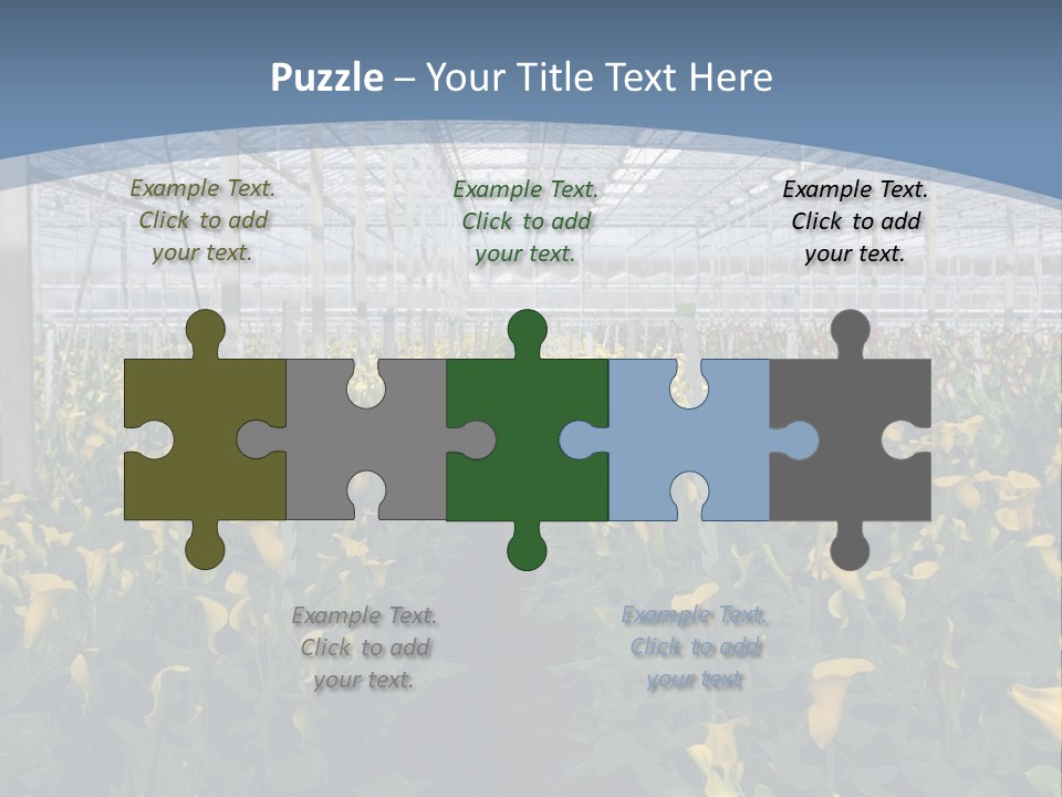 A Greenhouse Filled With Lots Of Yellow Flowers PowerPoint Template