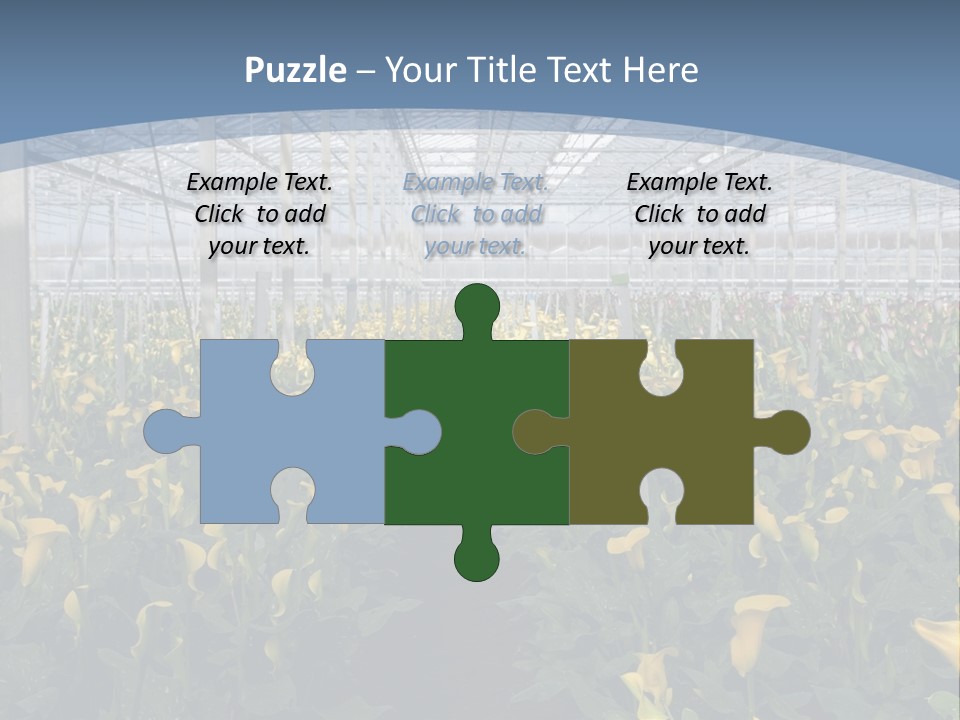 A Greenhouse Filled With Lots Of Yellow Flowers PowerPoint Template