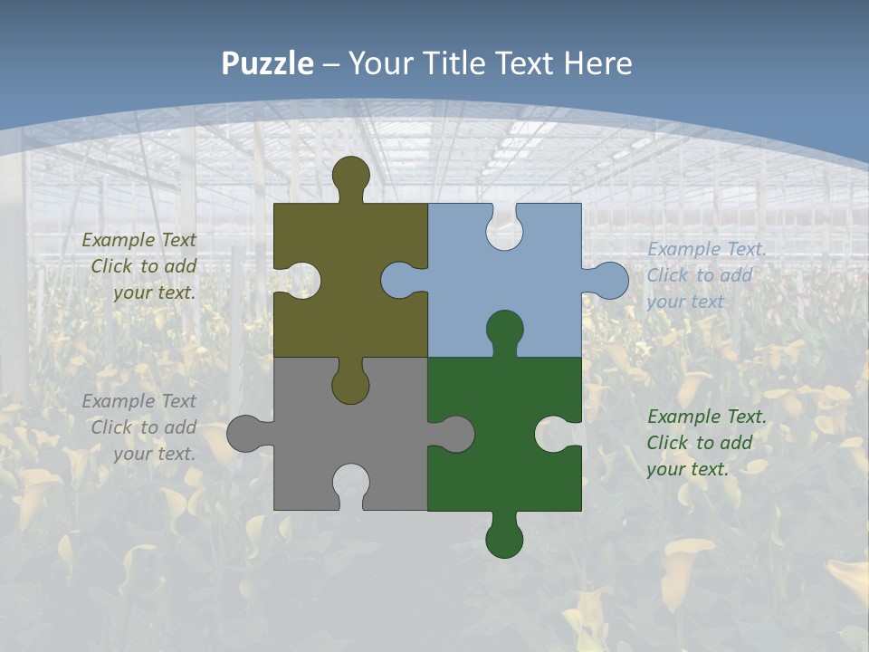 A Greenhouse Filled With Lots Of Yellow Flowers PowerPoint Template