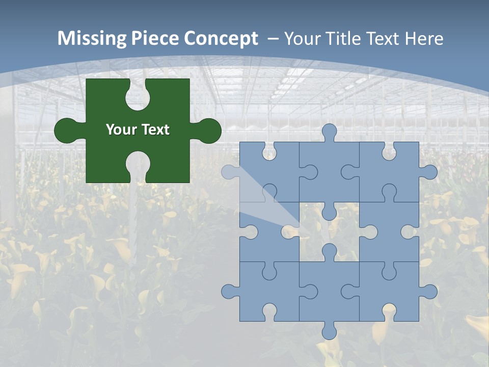 A Greenhouse Filled With Lots Of Yellow Flowers PowerPoint Template