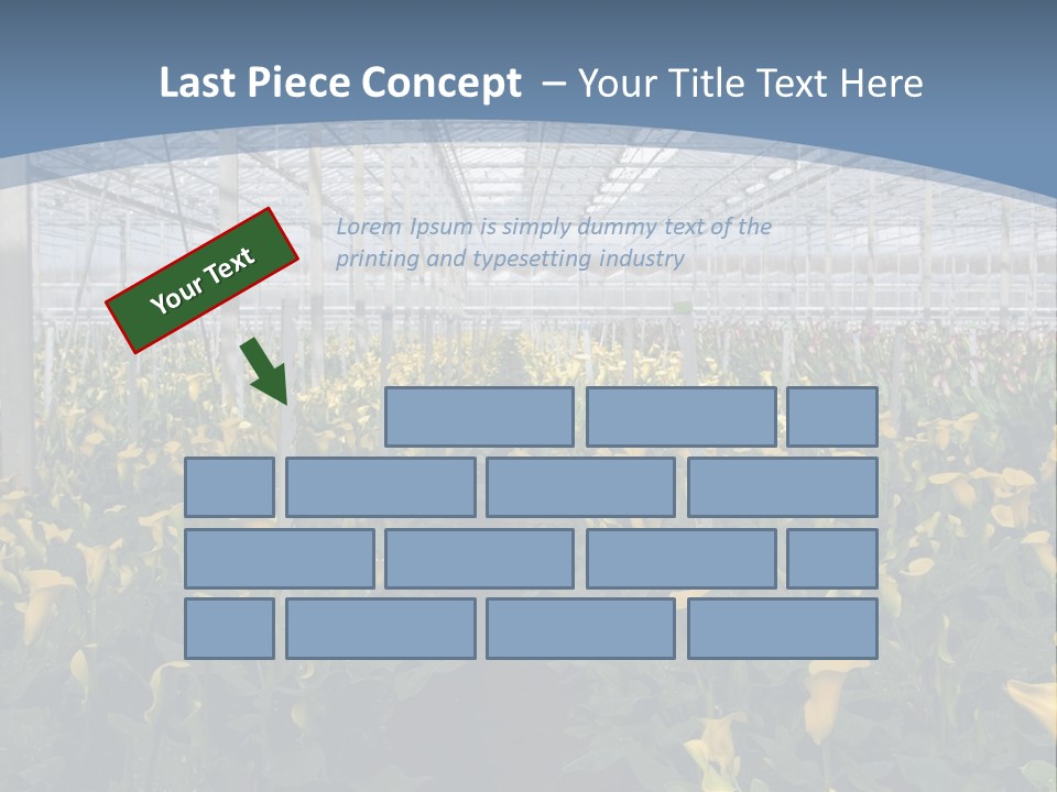 A Greenhouse Filled With Lots Of Yellow Flowers PowerPoint Template