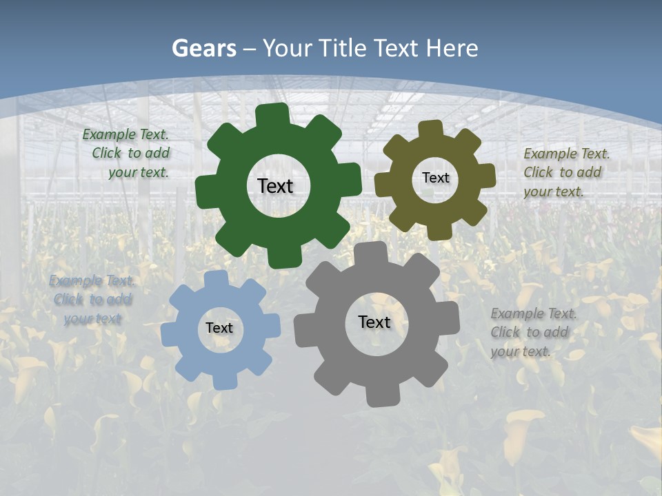 A Greenhouse Filled With Lots Of Yellow Flowers PowerPoint Template