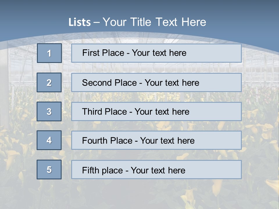 A Greenhouse Filled With Lots Of Yellow Flowers PowerPoint Template