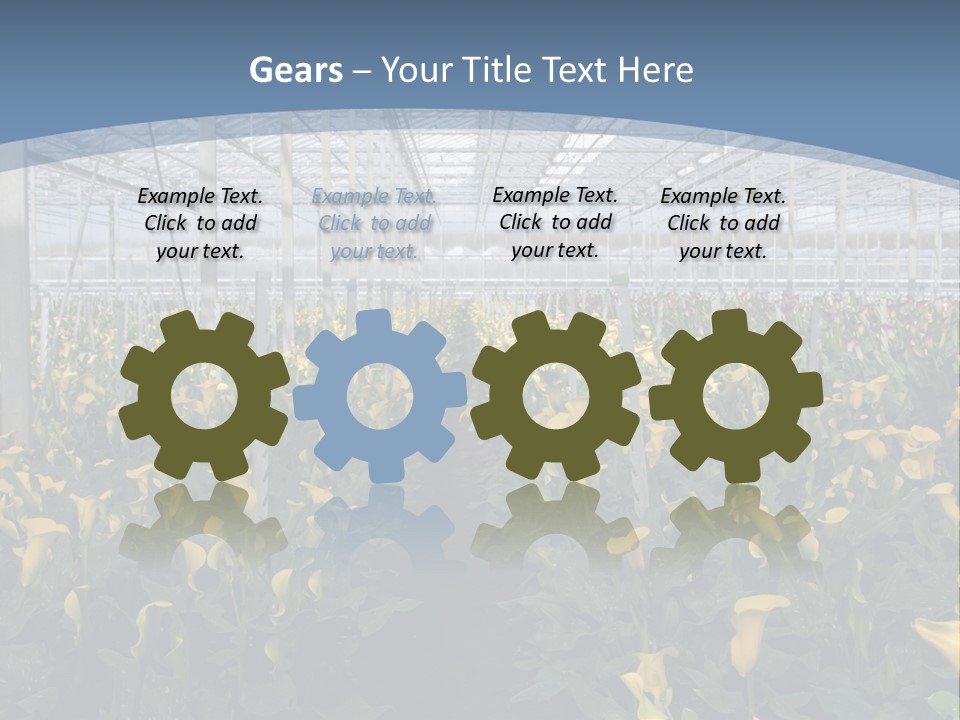 A Greenhouse Filled With Lots Of Yellow Flowers PowerPoint Template