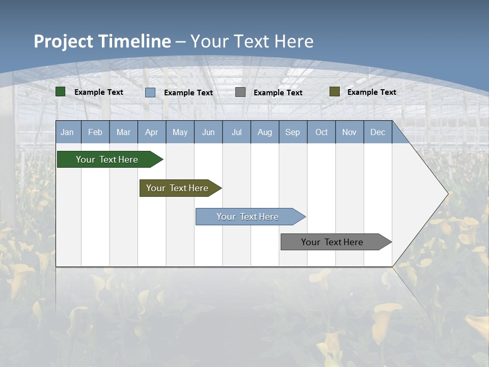 A Greenhouse Filled With Lots Of Yellow Flowers PowerPoint Template