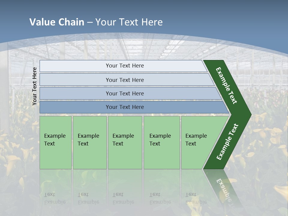 A Greenhouse Filled With Lots Of Yellow Flowers PowerPoint Template