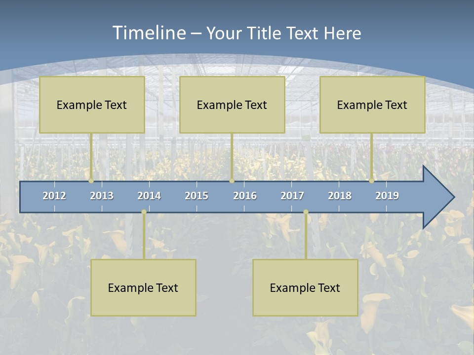 A Greenhouse Filled With Lots Of Yellow Flowers PowerPoint Template