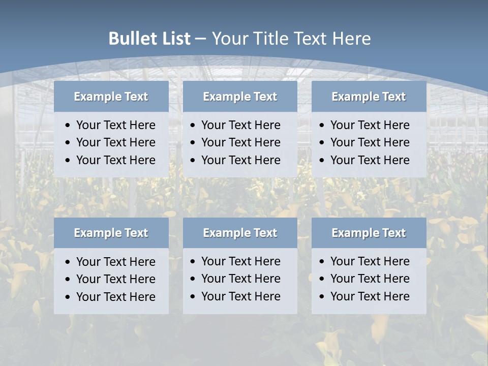 A Greenhouse Filled With Lots Of Yellow Flowers PowerPoint Template