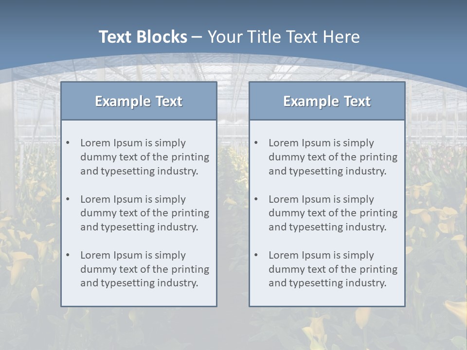 A Greenhouse Filled With Lots Of Yellow Flowers PowerPoint Template