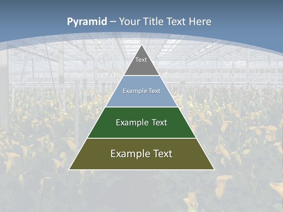 A Greenhouse Filled With Lots Of Yellow Flowers PowerPoint Template