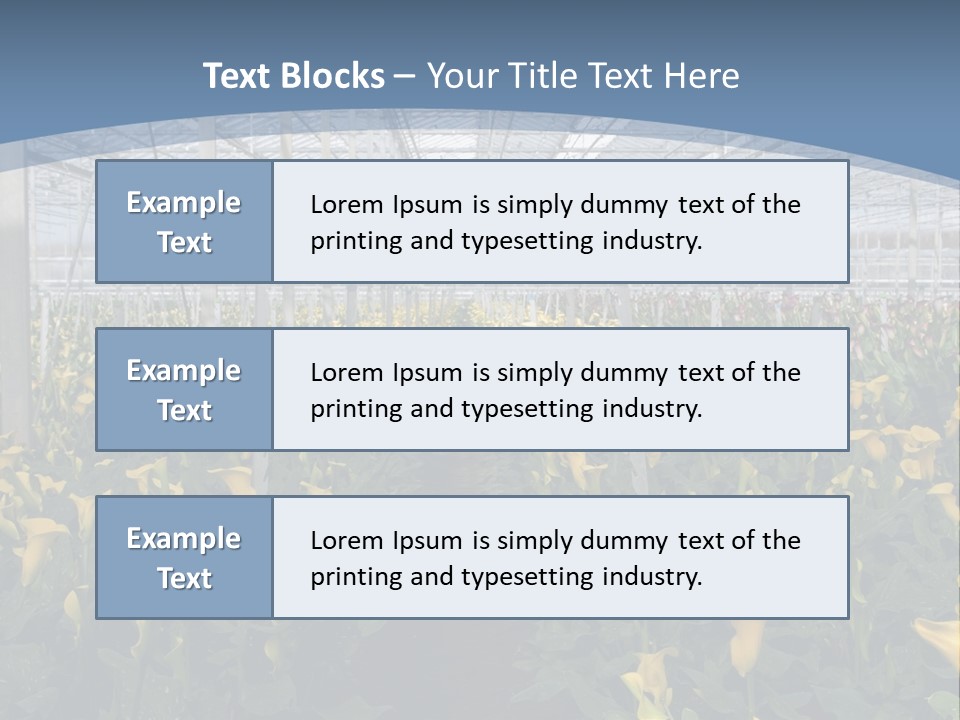 A Greenhouse Filled With Lots Of Yellow Flowers PowerPoint Template