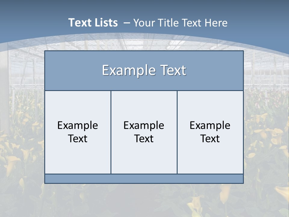 A Greenhouse Filled With Lots Of Yellow Flowers PowerPoint Template