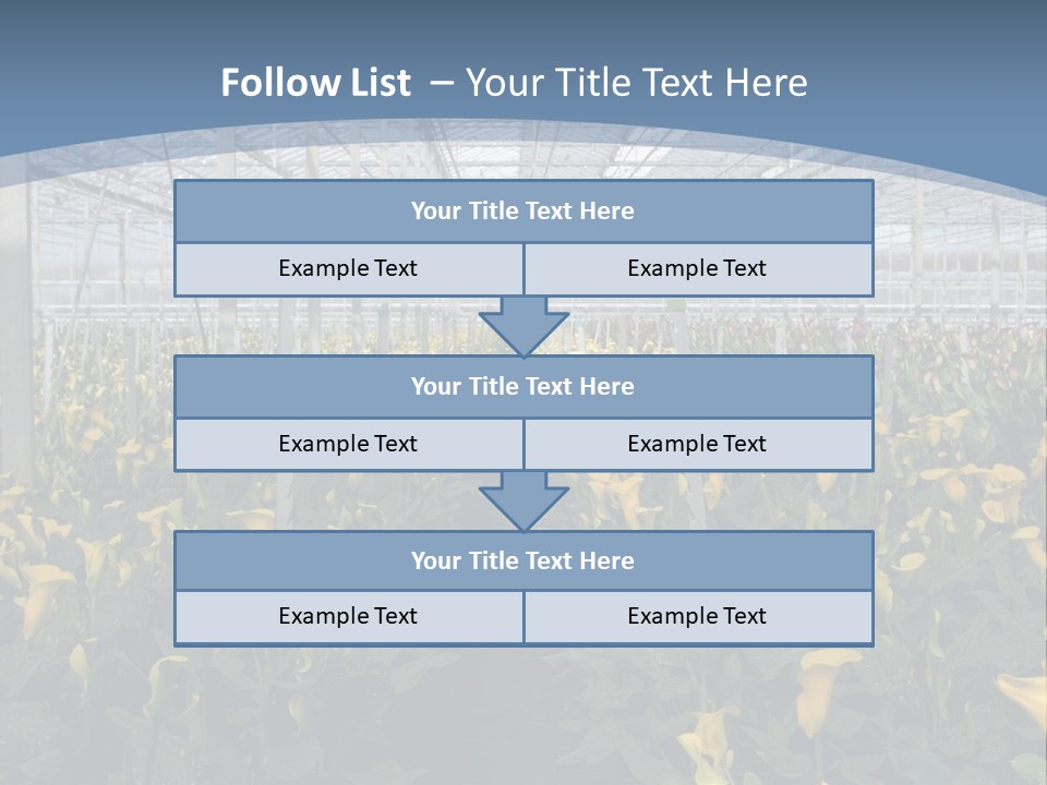 A Greenhouse Filled With Lots Of Yellow Flowers PowerPoint Template