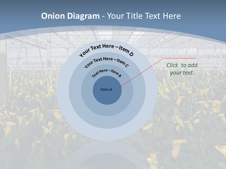 A Greenhouse Filled With Lots Of Yellow Flowers PowerPoint Template