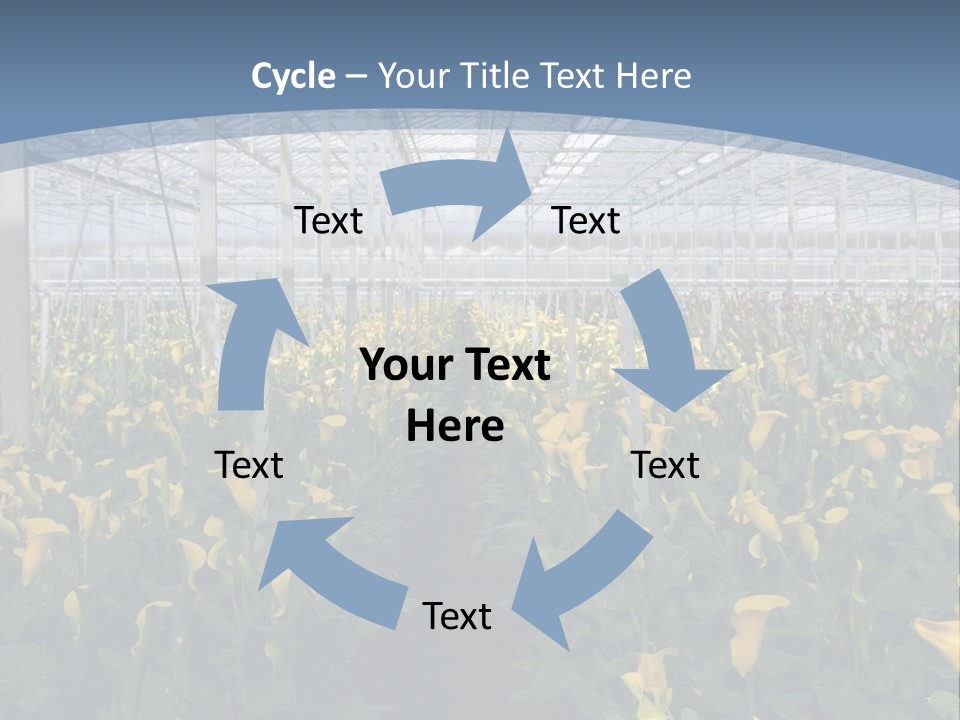 A Greenhouse Filled With Lots Of Yellow Flowers PowerPoint Template